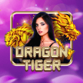 Dragon Tiger live table preview on luckypot